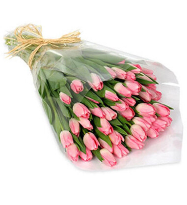 Kytica ružových tulipánov Din