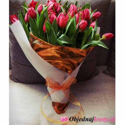 červené tulipany