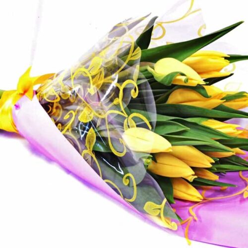 Žlté tulipány Gold – Obrázok 2