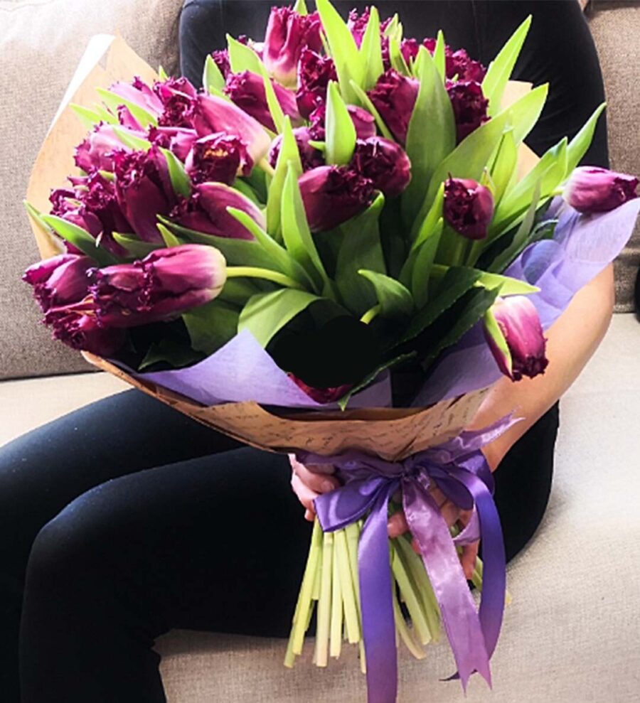 Tulipány (fialové)