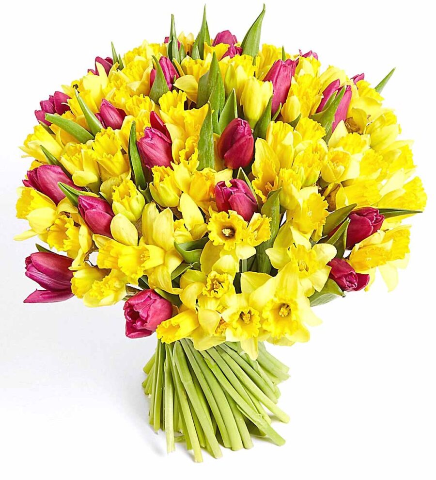 Kytica narcisy a tulipány