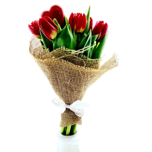 červené tulipány donáška