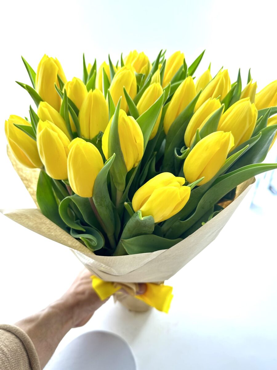 Žlté tulipány Kir - Image 2