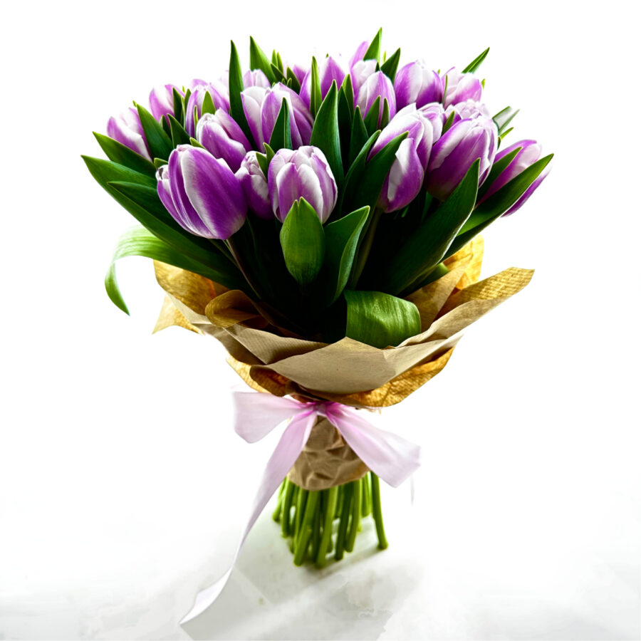Kytica fialových tulipánov Pur