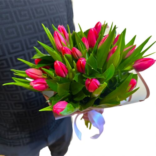 ružové tulipány Polo – Obrázok 2