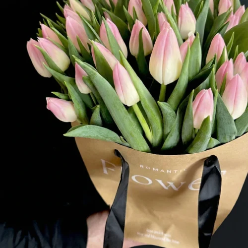 Tulipánova kytica ružovkastá – Obrázok 2