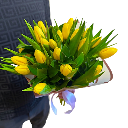 žlté tulipány Giol – Obrázok 2