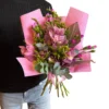 kytica ružové orchidee