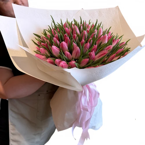 100 ružových tulipánov Tilli