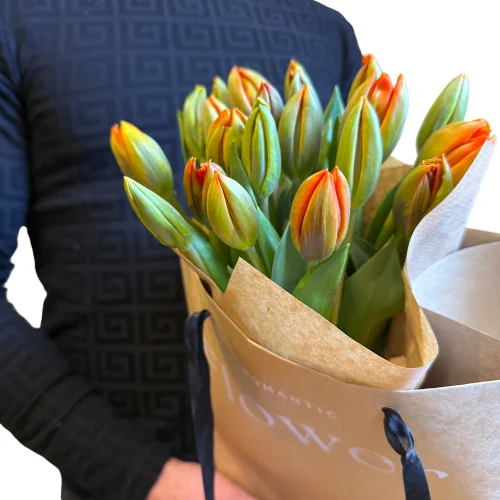 Oranžové tulipány Palid — detail